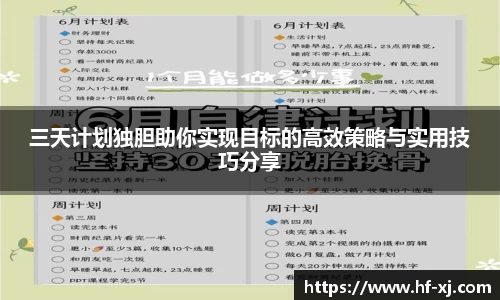 三天计划独胆助你实现目标的高效策略与实用技巧分享