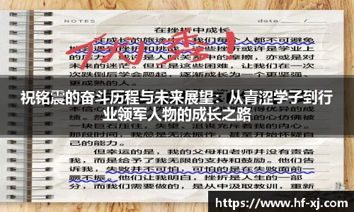 南宫NG28